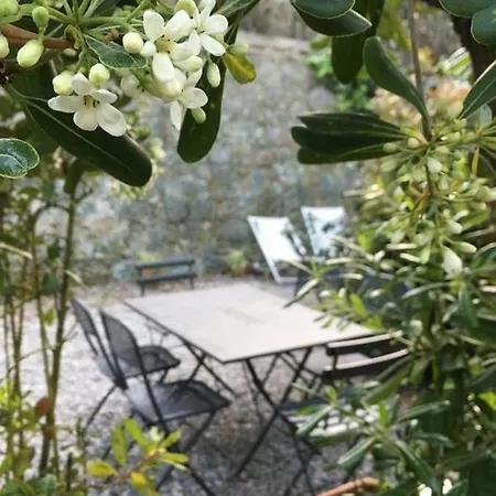 Il Nido - By The Sea - Ac Apartment *